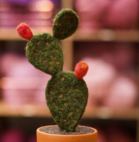 Needle Felt Cactus, Needle Felting Plants, Needle Felted Cactus, Needle Felting Beginner, Felting Cactus, Needle Felting Flowers, Beginner Needle Felting, Felted Cactus, Needle Felting Ideas