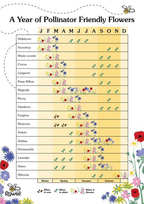 Bee Station, Bee Project, Bee Friendly Flowers, Bee Friendly Plants, Flower Calendar, Bee Friendly Garden, Plant Breeding, Pollinator Plants, Herb Gardens