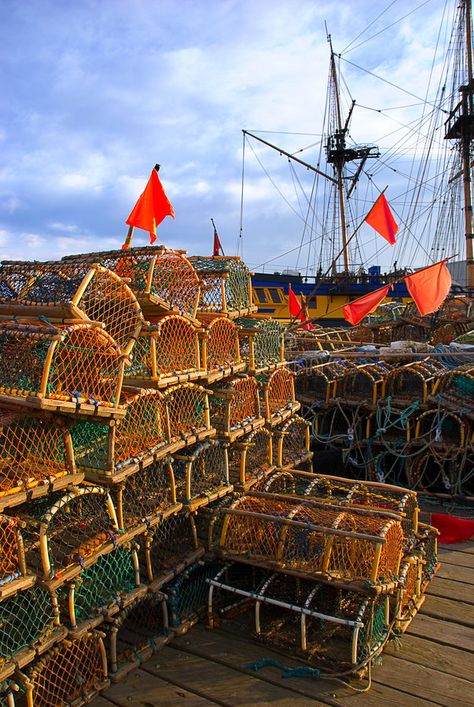 Lobster Fisherman, Lobster Farming, Lobster Pots Fishing, Lobster In Ocean, Live Lobster, Lobster Trap, British Seaside, North Yorkshire, Master Class