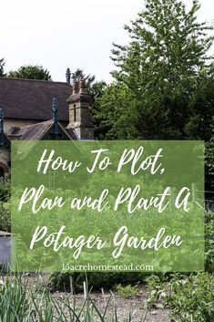 A potager garden is a great way to combine those veggies and herbs and flowers for a complete garden experience. Shade Loving Shrubs, Vertical Vegetable Gardens, Plants Under Trees, Plot Plan, Winter Vegetables Gardening, Acre Homestead, Vegetable Garden Tips, Garden Plots, Homestead Gardens