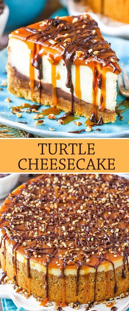 Turtle Cheesecake Recipes, Biscotti Cheesecake, Biscuits Graham, Turtle Cheesecake, Cheesecake Mini, Chocolate And Caramel, Easy Cheesecake Recipes, Easy Cheesecake, Cheesecake Desserts