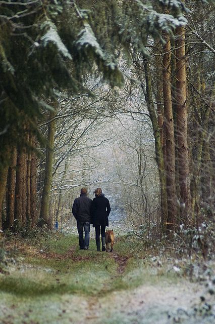 A Snowy Day, People Walking, Winter Walk, Walk In The Woods, Snowy Day, Winter Wonder, Into The Woods, Simple Pleasures, Winter Scenes