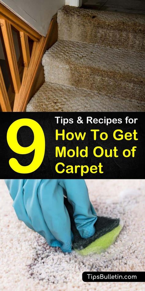 9 Amazing Tips and Recipes for How to Get Mold Out of Carpet How To Get Mold Out Of Carpet, How To Clean Floors, Vinegar Baking Soda Cleaner, Cleaning Bathrooms, Baking Soda Cleaner, Uses For Baking Soda, Carpets Design, Wet Basement, Clean Carpet