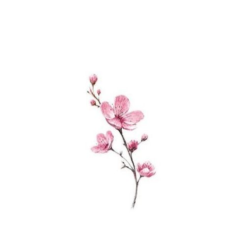 Elegant Flower Tattoos For Women, Cherry Blossom Tattoo Calf, Cute Cherry Blossom Tattoo, Apricot Blossom Tattoo, Cherry Flowers Tattoo, Cherry Blossom Finger Tattoo, Cherry Blossom Small Tattoo, Small Japanese Cherry Blossom Tattoo, Japanese Tree Tattoo Cherry Blossoms