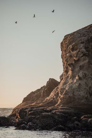 Tanger Morocco, Rocky Cliff, Oregon Beach, Oregon Beaches, Creative Commons Images, Free Nature, Gods Creation, Grey Wallpaper, Birds Flying