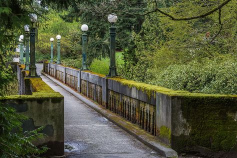 Wilcox Footbridge in Seattle's Washington Park Arboretum - bridges are an important place in our relationship Seattle Photoshoot, University Of Washington Seattle, Wedding Photo Shots, Arboretum Wedding, Washington Seattle, Lake Washington, The Emerald City, Washington Park, Pacific Nw