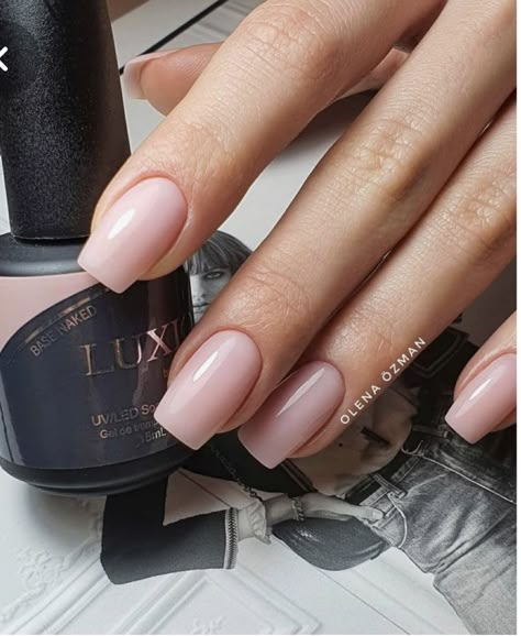 Nail Colors For Pale Skin, Pale Nails, Natural Looking Nails, Natural Gel Nails, Baby Pink Nails, Pink Gel Nails, Blush Nails, Workout Chart, Pink Shade