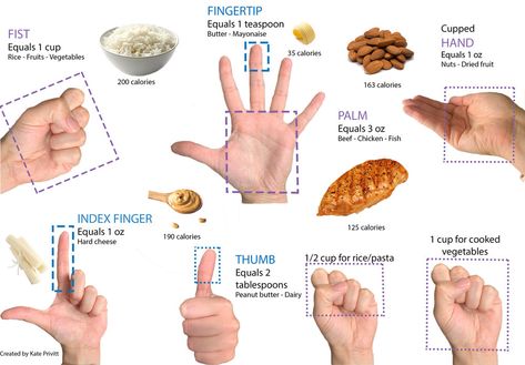 Portion Size Guide — Energy Balance Nutrition Consulting (EBNC) Healthy Meal Portions, Portion Size Guide, Meal Portions, Food Portion Sizes, Recipes Using Rotisserie Chicken, Nutrition Activities, Improve Nutrition, Nutrition Consultant, Energy Balance