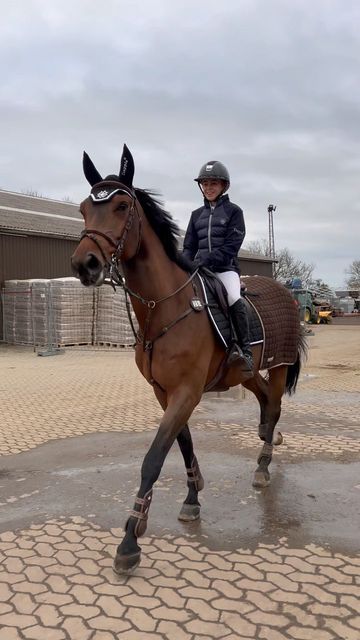 Equestrian Boyfriend, Horse Boyfriend, Dark Bay Horse, Equestrian Friends, Horseback Riding Outfit, Aesthetic Equestrian, Riding Outfit Equestrian, Horse Ownership, Horsey Life