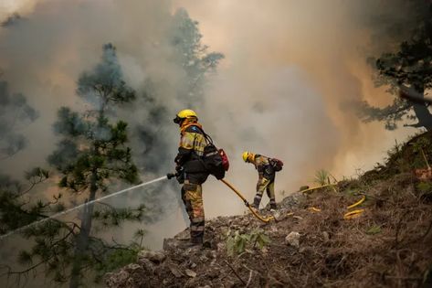 Extreme heatwave live: millions in Europe, US and Asia hit by severe heat; China records its highest ever temperature History Taking, Texas City, Climate Crisis, Fossil Fuels, Forest Fire, The New Normal, Extreme Heat, Severe Weather, Extreme Weather