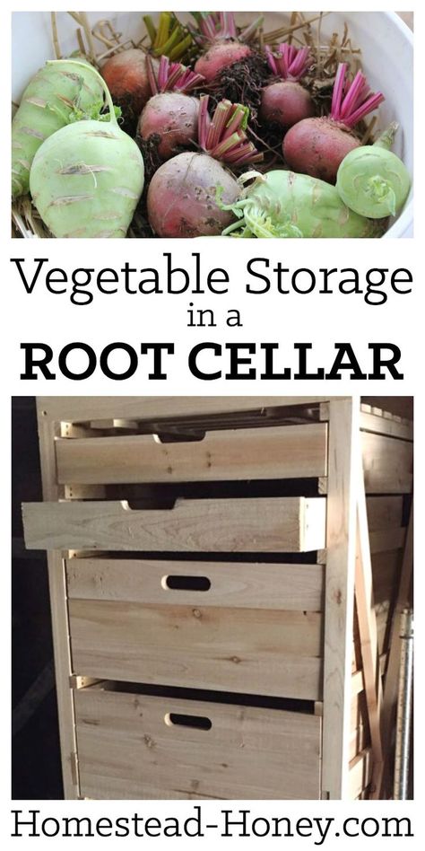 Looking for vegetable storage ideas for your homestead root cellar? Check out my favorite ways to store vegetables for winter eating. | Homestead Honey Vegetable Storage Ideas, Root Cellar Storage, Outdoor Storage Ideas, Store Vegetables, Winter Vegetables Gardening, Storing Vegetables, Root Cellar, Vegetable Storage, Survival Gardening