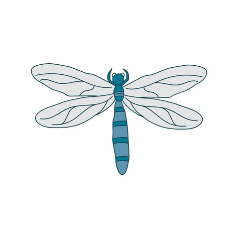 Vizi provides you with a library of colorful and vibrant dragonfly clipart downloads for free Dragonfly Clipart, High Quality Images, Bugs, Vibrant Colors, Clip Art, For Free, Color, Bugs And Insects