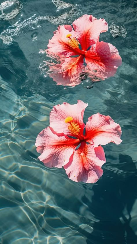 Tropical hibiscus flowers floating outdoors nature. | premium image by rawpixel.com The Beach Wallpapers, Aesthetic Wallpaper Hibiscus, Real Flowers Wallpaper, Natural Flowers Images, Flower Aura Wallpaper, Hibiscus Wallpaper Iphone, Wallpaper Hibiscus Flower, Wallpaper Flowers Iphone, Aesthetic Wallpaper Tropical