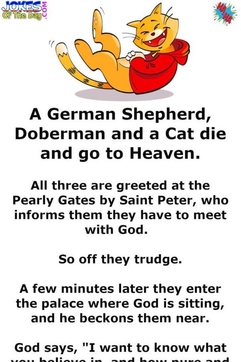 A German Shepherd, Doberman and a Cat die and go to Heaven.   All three are greeted at the Pearly Gates by Saint Peter, who informs them they have to meet with God. So off they trudge.   A few minutes later they enter the palace where God is sitting, and he beckons them near.   God says, "I want... German Shepherd Doberman, A Few Minutes Later, Funny Cat Jokes, Punny Jokes, Jokes Of The Day, Good Jokes To Tell, Now Quotes, Funny Marriage Jokes, Pearly Gates