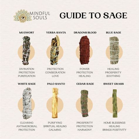 Eclectic Paganism, Different Types Of Sage, Apothecary Business, Enchanting Spells, Cleansing Space, Types Of Sage, Cleansing Herbs, Sage Benefits, Spiritual Shop