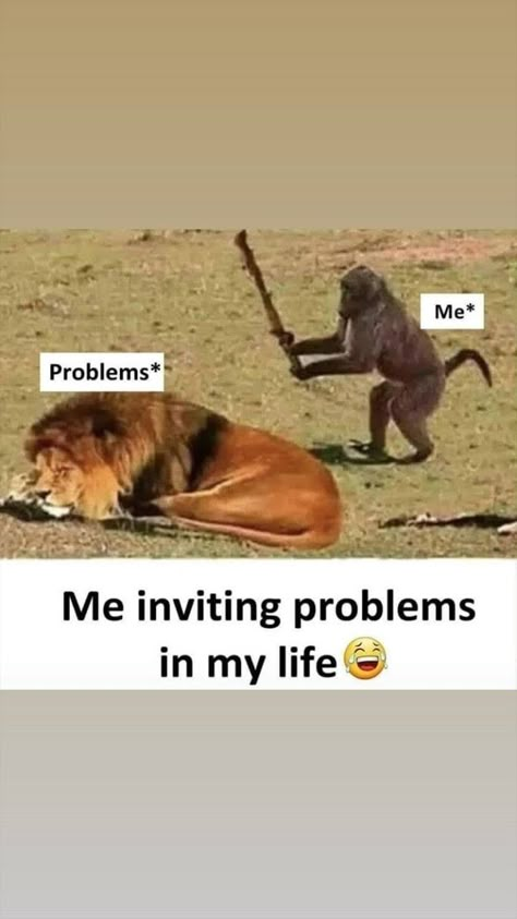 Totally fine no problem comman Me And My Problems, No Problem Quotes, Problem Wallpaper, Comedy Images, Hair Quotes Funny, Comedy Pictures, Happy Birthday Funny, Comedy Quotes, Humor Hilarious