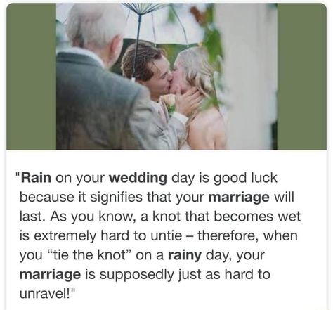 Rain On Wedding Day Quotes, Rain On Wedding Day, Marriage Words, Wedding Day Quotes, Romantic Status, Rainy Wedding, Clean Jokes, Weddings By Color, Honeymoons