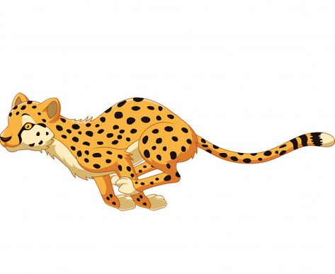 Cartoon Cheetah, Cheetah Cartoon, Cheetah Running, Cute Turtle Cartoon, Cheetah Drawing, Cute Elephant Cartoon, Eagle Cartoon, Running Vector, Running Cartoon