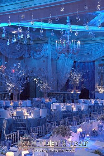 A beautiful winter wonderland! Winter Theme Fundraiser at Pierre Hotel-1 by Van Vliet & Trap, via Flickr Winter Wonderland Wedding Reception, Winter Wedding Reception, Frozen Wedding, Rustic Wedding Decorations, Winter Wonderland Theme, Blue Lighting, Winter Wonderland Party, Winter Wonderland Wedding, Wedding Winter