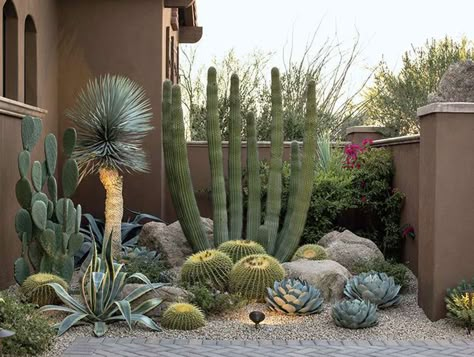 Desert Lush - Phoenix Home & Garden Dessert Landscaping, Side Yard Garden, Cactus Garden Landscaping, Desert Backyard, Kaktus Dan Sukulen, Succulent Garden Landscape, Arizona Backyard, Front Yard Decor, Succulent Landscape Design