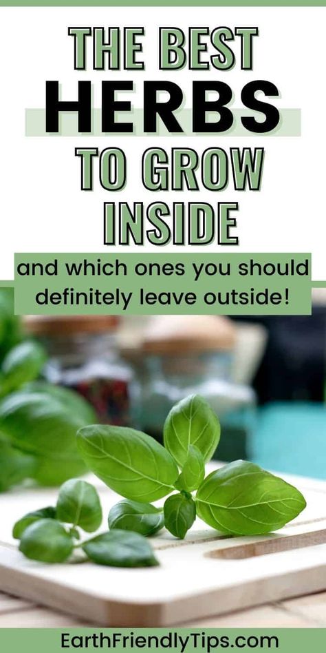 Are you interested in starting your own indoor herb garden? Then you definitely need to check out this list of the best herbs to grow indoors. Not only will you learn about herbs that can grow inside, but you'll also discover what you need to start an indoor herb, why it's so important, and even which herbs you should definitely leave in your outdoor garden. Get growing today with this list of the best herbs to grow inside! garden|gardening|indoor gardening|herb garden|best herbs to grow ... Countertop Herb Garden, Outdoor Herb Garden Ideas, Kitchen Herb Garden Indoor, Wall Herb Garden, Herb Garden Ideas Outdoor, Growing Herbs Inside, Apartment Homesteading, Herbs To Grow Indoors, Indoor Herb Garden Diy