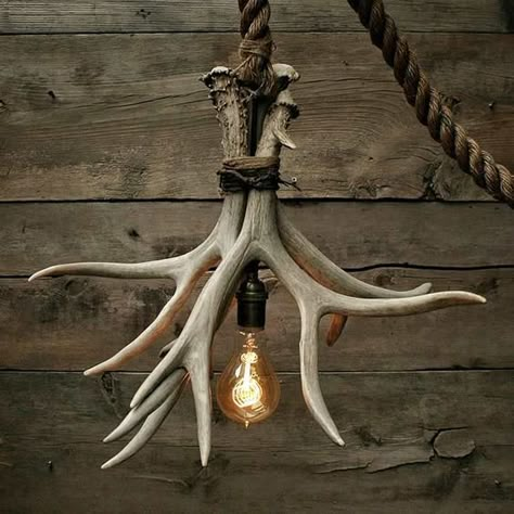 Deer skull mount