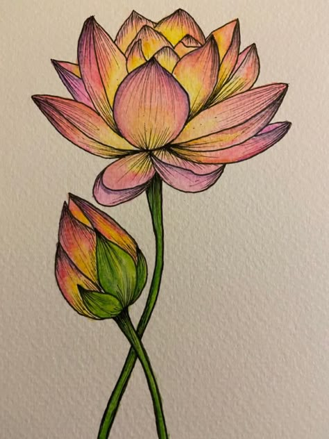 Indian Flower Drawing, Drawing Ideas Colour Pencil Beginner, Lotus Sketch Drawing, Lotus Flower Art Design, Pencil Colour Sketches For Beginners, Painting With Pencil Colour, Aesthetic Pencil Drawings, Easy Color Pencil Drawing, Flower Drawing Color Pencil