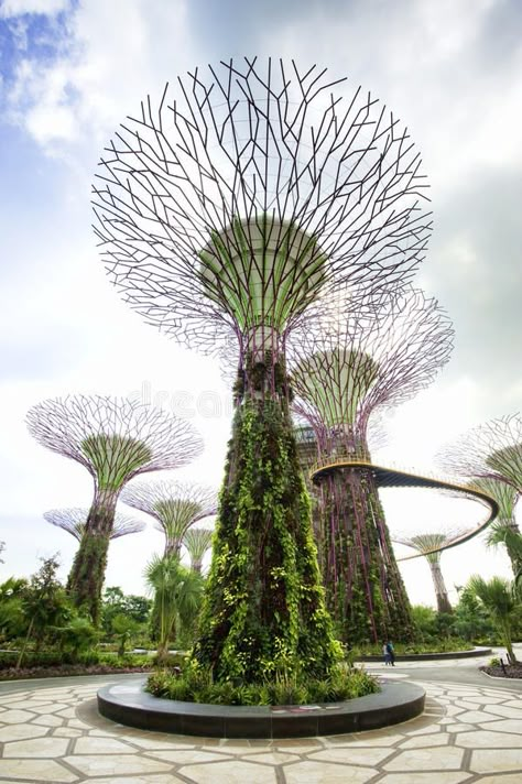 Supertrees Singapore, Garden By The Bay Singapore, Sunflower Chocolate, Planner Illustration, Asia Architecture, Gardens By The Bay Singapore, Garden Backdrop, Singapore Architecture, Singapore Garden