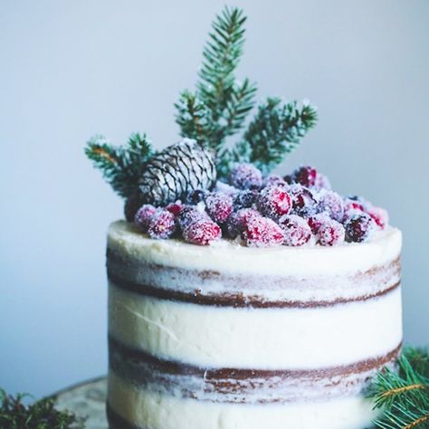 19 Holiday Cake Recipes to Make You Forget About Pie | Brit + Co Cheesecake Wedding Cakes, Unfrosted Wedding Cake, Christmas Reception, Winter Wedding Food, Cake Decorating Wedding, Cheesecake Wedding, Forest Themed Wedding, Holiday Cake Recipes, Homemade Christmas Cake