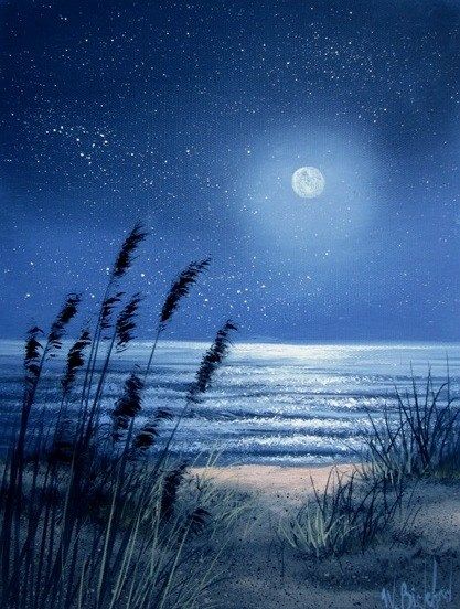 Artist: Wilson R. Bickford Sea Oats, Bob Ross Paintings, Night Sky Painting, Sky And Sea, Painting Ocean, Moon Painting, Painting Subjects, Night Landscape, Sky Painting