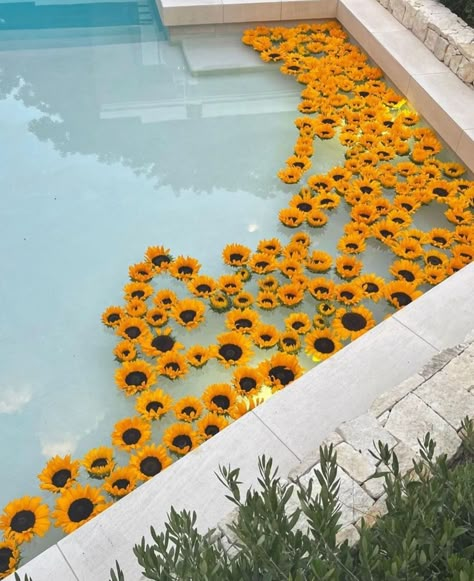 Pool Haldi Decor, Poolside Haldi Decor, Poolside Decor, Haldi Decor, Photographer Business Cards, Marriage Ideas, Desi Wedding Decor, Photographer Business, Haldi Ceremony