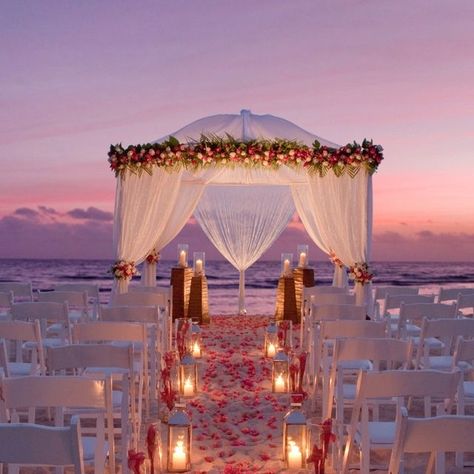 Tangled Beach Wedding, Beach Alter, Night Beach Weddings, Beach Wedding Aisles, Photography Rates, Sunset Beach Weddings, Wedding Setup, Dream Beach Wedding, Beach Wedding Reception