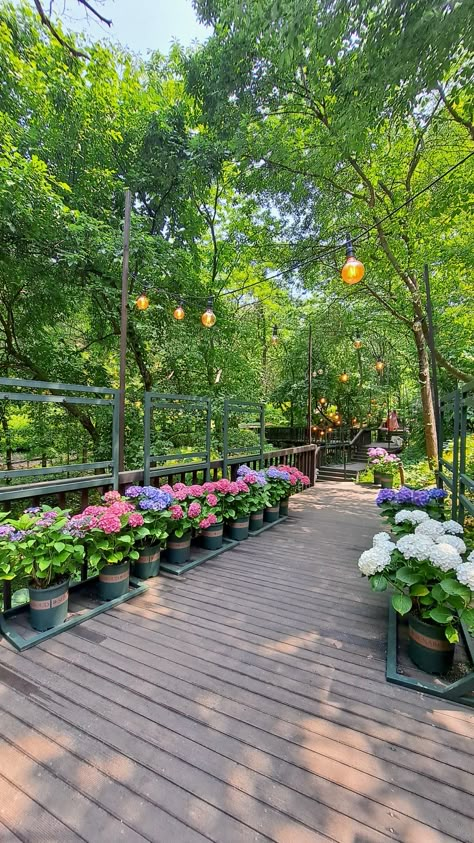 Outside Aesthetic Day, Park Background, Garden Background, Natural Background, Nature Table, Pretty Landscapes, Beautiful Scenery Nature, Alam Yang Indah, Cool Backgrounds