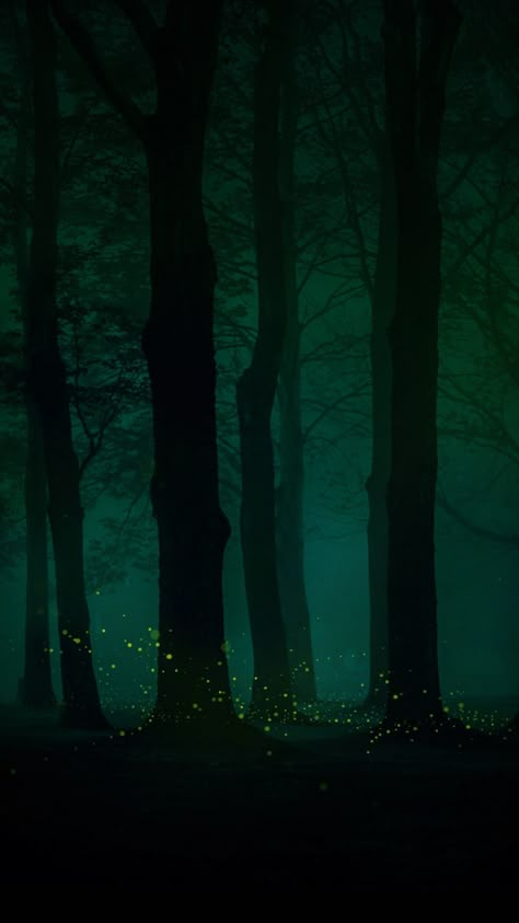 Phtalo Green, Dark Forest Aesthetic, Dark Green Wallpaper, Forest Mural, Amoled Wallpapers, Enchanted Wood, Dark Green Aesthetic, Slytherin Aesthetic, Fantasy Forest