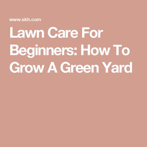 Lawn Care For Beginners: How To Grow A Green Yard Winter Lawn Care, Grass Seed Types, Fall Lawn Care, Spring Lawn Care, Fall Lawn, Types Of Grass, Grass Roots, Yard Care, Summer Lawn