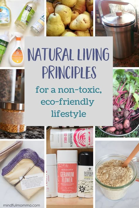 Learn the 3 basic principles of a natural, eco-friendly lifestyle - real food, non-toxic products, and eco-friendly choices. | #ecofriendly #natural #realfood #nontoxic Living Sustainably Tips, How To Live A Natural Lifestyle, All Natural Living, Crunchy Lifestyle Natural Living, Organic Lunch Ideas, Crunchy Living, Plastik Recycling, Living Naturally, Non Toxic Living