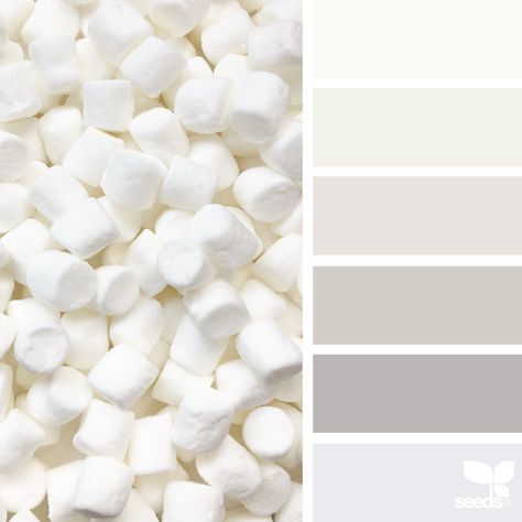 Marshmallow Tones | design seeds | Bloglovin’ Grey Paint Colors, White Paint Colors, Color Palate, Design Seeds, Color Palette Design, Reggio Emilia, Living Room Colors, New Wall, Colour Schemes