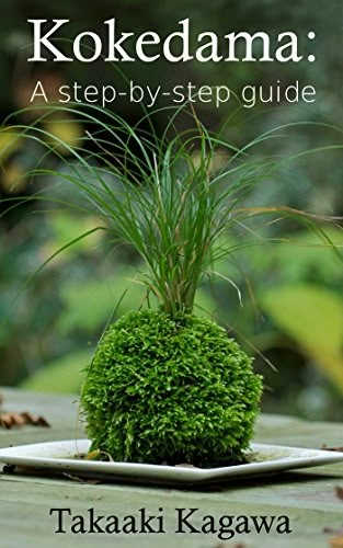 Kokedama Ball, Diy Kokedama, Japanese Moss Balls, Japanese Plants, String Garden, Growing Moss, Bonsai Soil, Moss Plant, Moss Ball