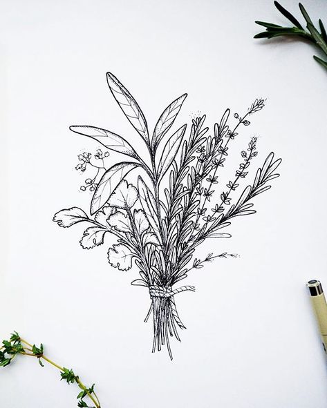 A little bouquet of my favourite herbs 🌿🖊 Flowers Drawing Simple, Cool Designs To Draw, Herb Tattoo, Culinary Tattoos, Botanisches Tattoo, Cute Flower Drawing, Herb Bouquet, Chef Tattoo, Flower Bouquet Tattoo