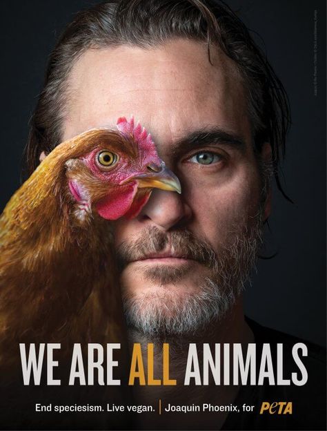 'Joker' Star Joaquin Phoenix Joins PETA to 'End Speciesism' Der Joker, Vegan Memes, Animal Activism, Vegan Quotes, Animal Liberation, Why Vegan, The Americans, Animal Rights Activist, All Animals