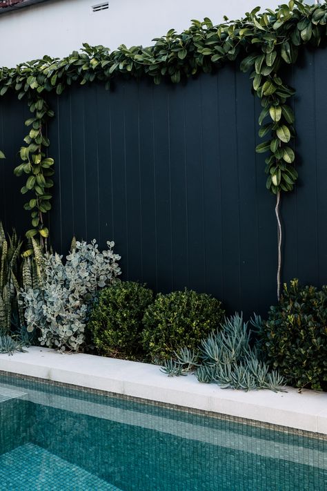 Garden Pool Design, Pool Plants, Outdoor Pool Area, Succulent Gardens, Pool Landscape Design, Pot Garden, Plants Outdoor, Small Pool Design, Plants Growing