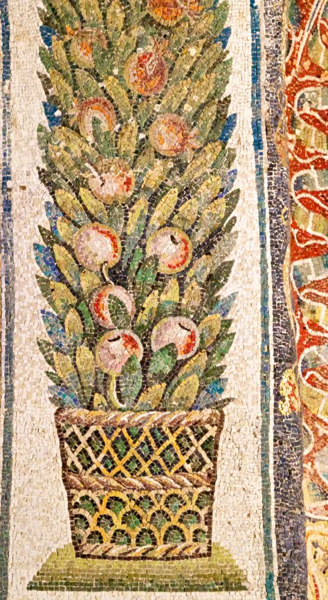 Pomegranates Mausoleum of Galla Placidia, Ravenna. Symbol of the resurrection of the dead. Pompeii Mosaic, Roman Mosaic Art, Ancient Roman Mosaic, Mausoleum At Halicarnassus, Byzantine Mosaic Hagia Sophia, Mausoleum Of Galla Placidia, Roman Mosaic, Flower Basket, Diy Canvas