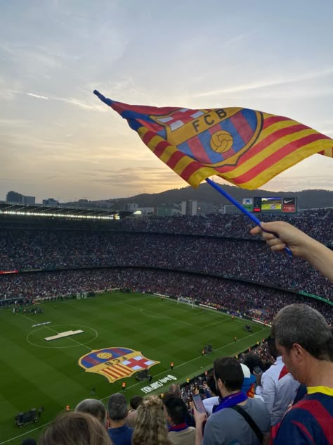 Barca Stadium, Barcelona Stadium, Nou Camp, Barcelona Flag, Barcelona Aesthetic Football, Camp Nou Aesthetic, Fc Barca, Barcelona Club, Soccer Game