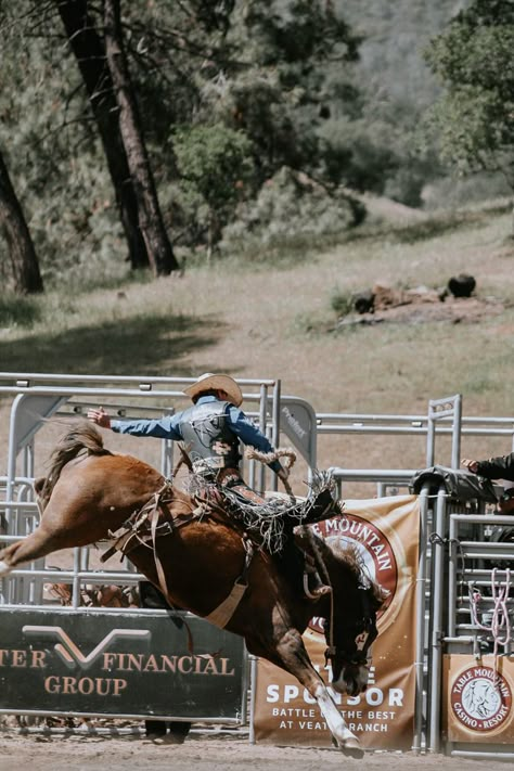 Rodeo Photography Bull Riders, Bronc Riding Wallpaper, Bronc Horse, Bronc Rider, Bronc Riding Aesthetic, Bull Riding Wallpaper, Bull Rider Aesthetic, Bullrider Aesthetic, Bull Rider