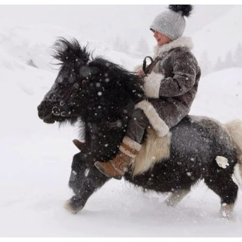 dashing through the snow! this will be my kids some day!!! Horse Snow, Miniature Ponies, Miniature Horses, Stick Horses, Mini Pony, Big Horses, Shetland Pony, Cute Ponies, Pony Rides