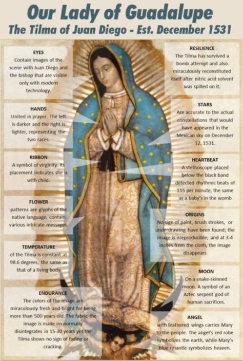 Happy Feast Day, Happy Feast, Marian Apparition, Lady Guadalupe, Catholic Beliefs, Mother Mary Images, Saint Quotes Catholic, Images Of Mary, Virgin Of Guadalupe