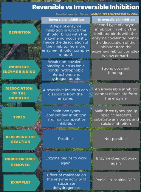 Difference Between Reversible and Irreversible Inhibition 3 Relativity Theory, Fruit Cake Recipes, Human Physiology, Molar Mass, Functional Group, Systems Theory, Nursing Student Tips, General Relativity, Brain Facts