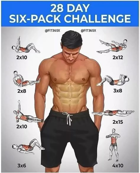 6 Pack Abs Workout, Ab Workout Plan, Latihan Dada, Sixpack Workout, Trening Sztuk Walki, Gym Workout Planner, Six Pack Abs Workout, Abs Workout Video, Gym Workout Chart