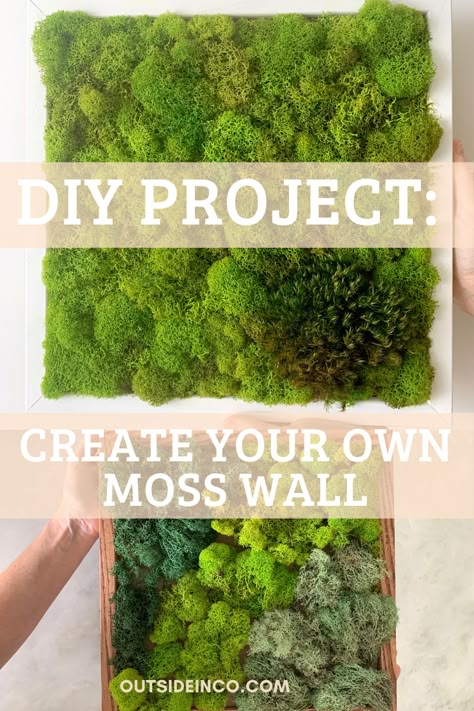 Making A Moss Wall, Real Moss Wall Diy, How To Make Living Moss Wall Art, Living Moss Wall Art Diy How To Make, Diy Moss Wall Art How To Make, Indoor Moss Wall Diy, Live Moss Wall Art Diy How To Make, Moss Canvas Diy, Living Wall Art Diy