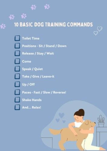 The 10 Basic Dog Training Commands - Your Mission Begins! - DogZone Australia Basic Dog Commands, Puppy Training Commands, Dog Commands Training, Dog Training Commands, Basic Dog Training Commands, Dog Recall Training, Ecollar Dog Training, Dog Commands, Basic Dog Training